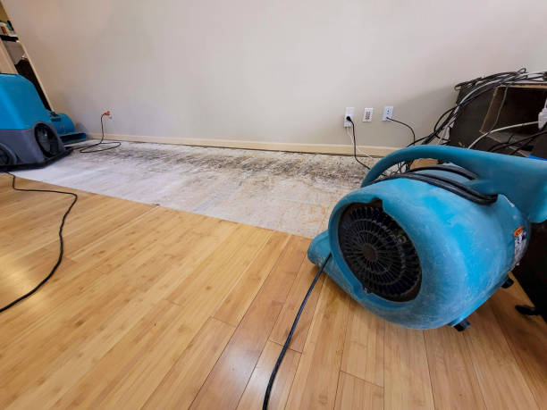 Professional Water Damage Repair technician working in Paynesville, MN